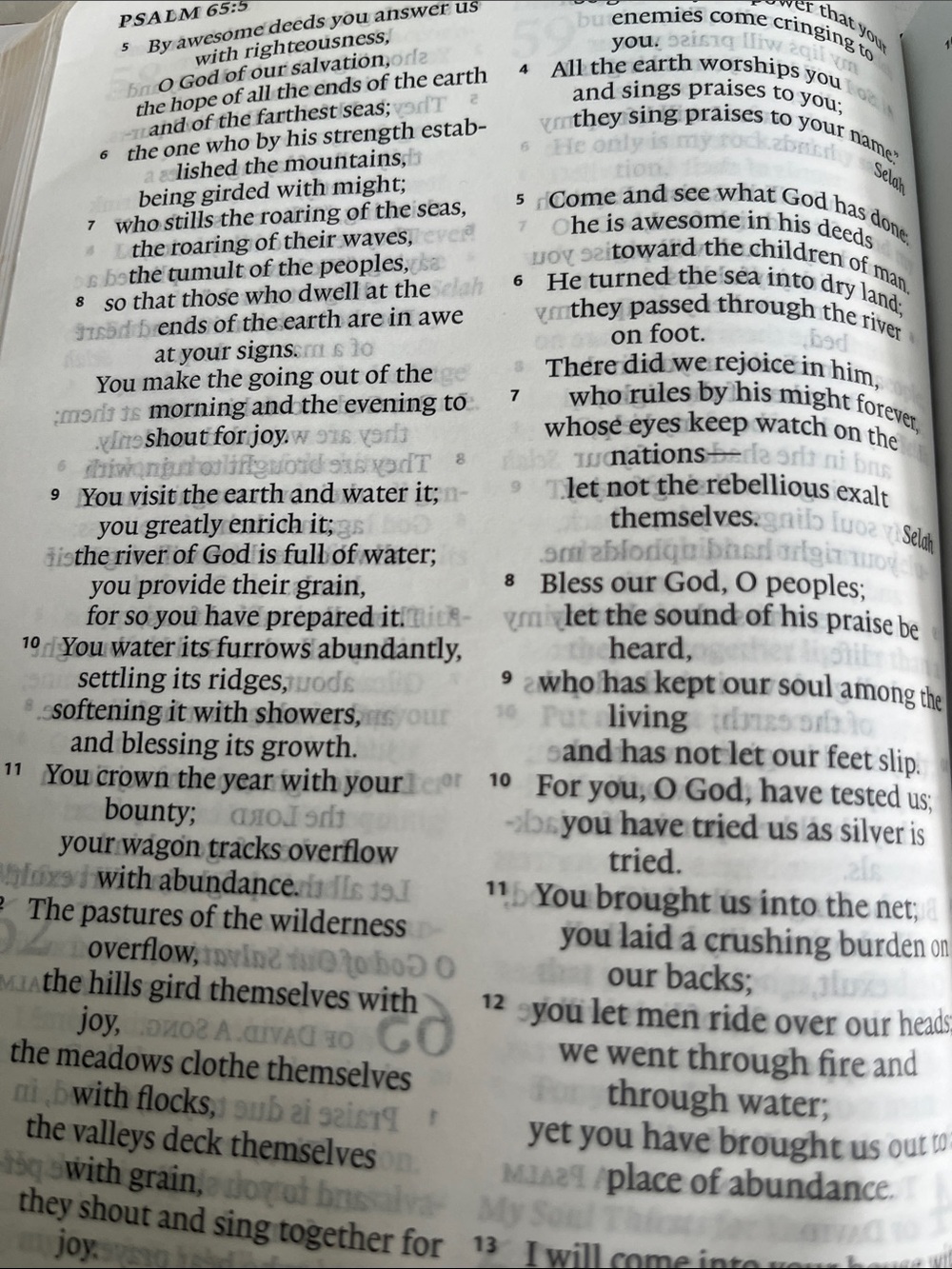 ESV Large Print Value Thinline Bible - Mahoganyr New - Picture 4 of 4